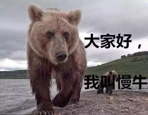 A股跌破相段子手狂欢:一入<em>股市</em>深似海 从此工