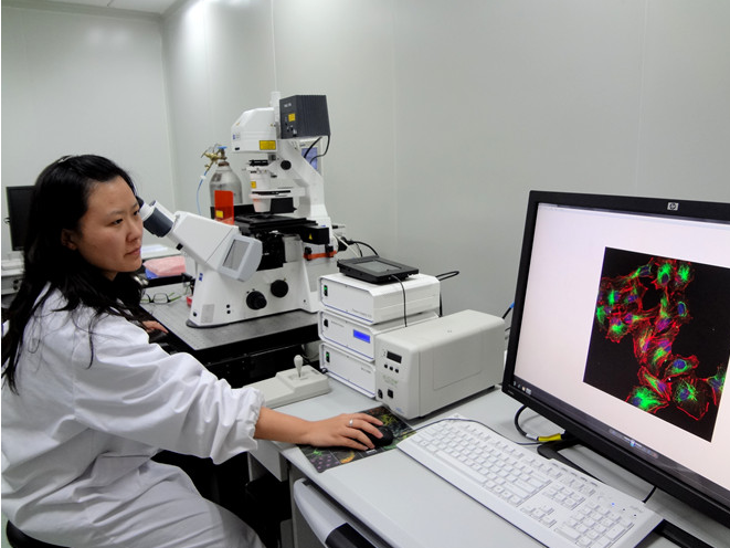 全球首个生命科学大装置落户上海(图)