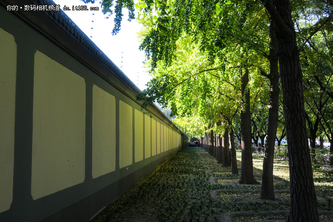 小巧便携颜值高佳能PowerShot G9X样片