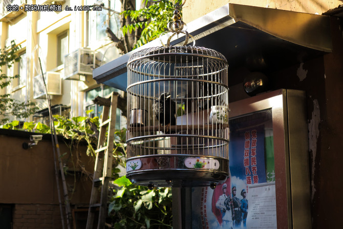 小巧便携颜值高佳能PowerShot G9X样片