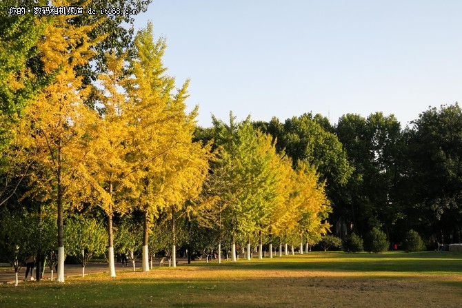 小巧便携颜值高佳能PowerShot G9X样片