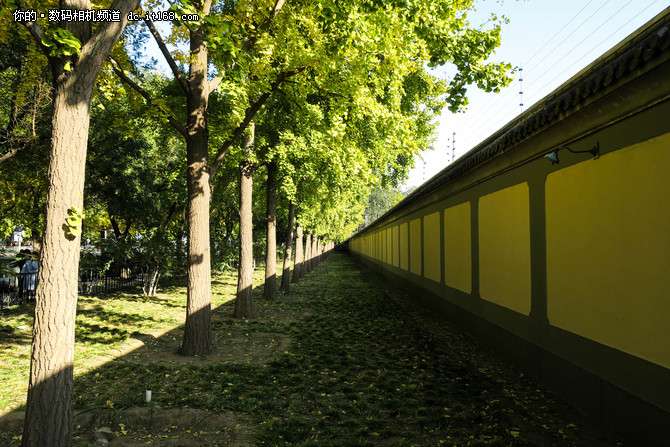 小巧便携颜值高佳能PowerShot G9X样片