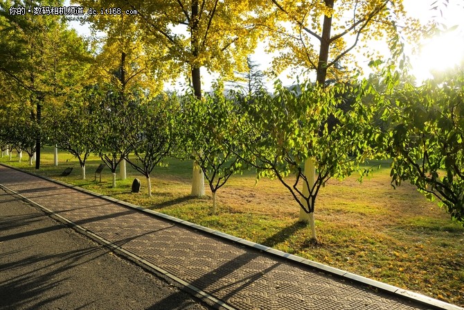 小巧便携颜值高佳能PowerShot G9X样片