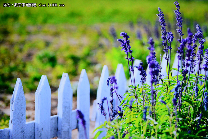 画质如何?实测解析
