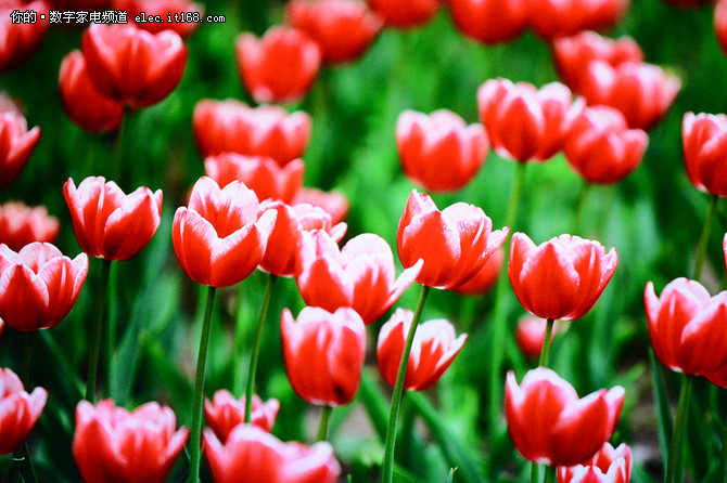 画质如何?实测解析