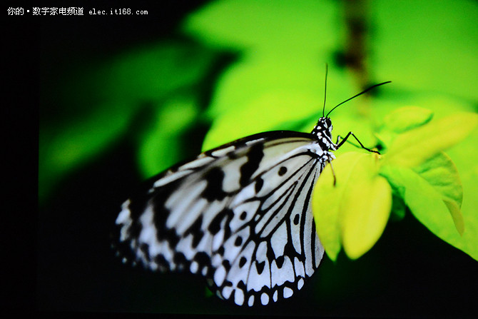 画质如何?实测解析