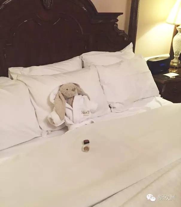 小女孩忘在旅馆的玩具兔子 在五星酒店过上了