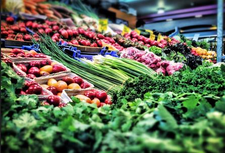 合肥多种蔬菜批发价涨幅超5成 一斤香菜要卖6