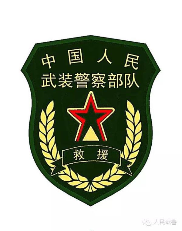 武警国宾护卫队臂章