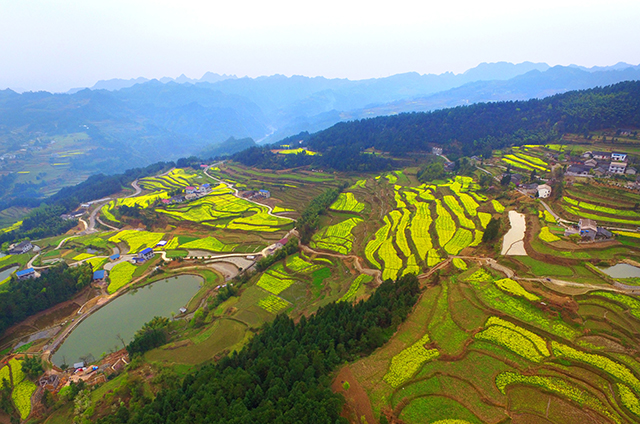美丽乡村新画卷|乡村| 旅游_凤凰湖南