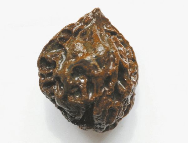 古蜀人长啥样?成都迄今最早古城或揭三星堆之