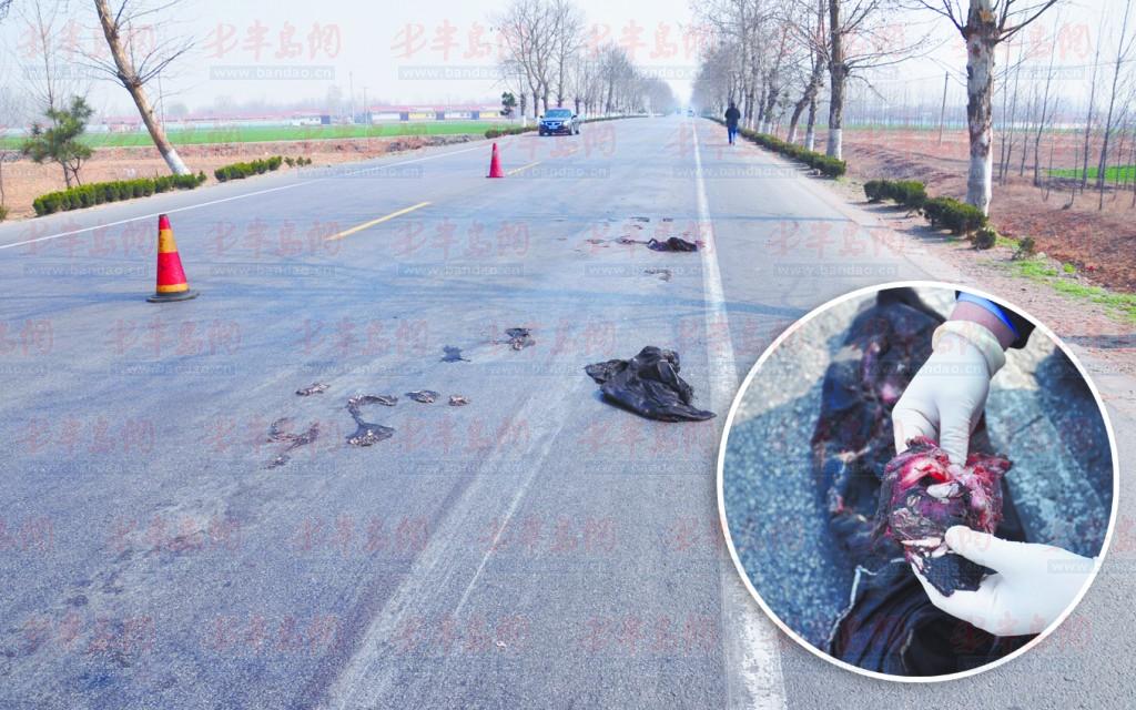 山东男子分身会情人 将狗扒皮穿衣假装自己车祸死亡