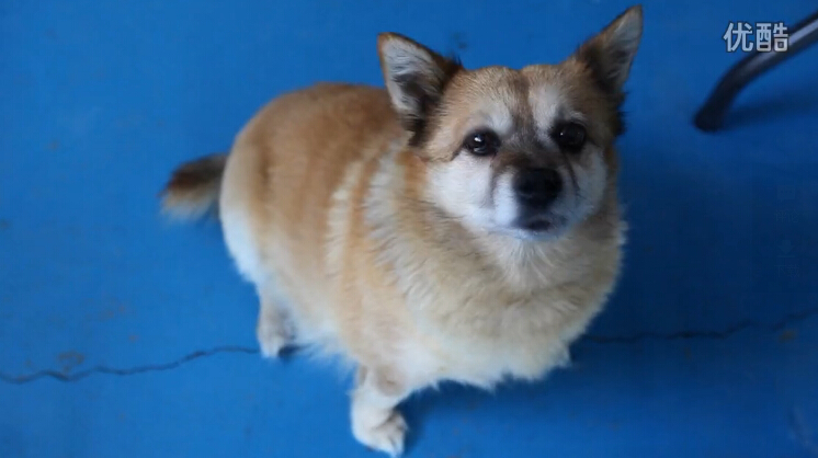 时尚风向职业旅行者小鹏,向你讲述他的背包十年