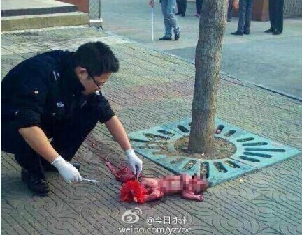 湖南:女婴疑被人从五楼抛摔死亡 身体连接脐带