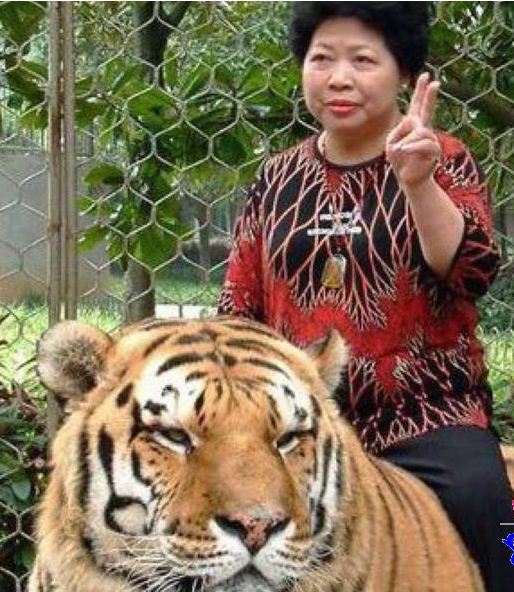 新闻  【没品段子】 @狼心狗肺猪肾 看着富二代们奢华的生活,我暗下