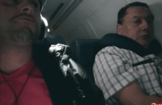 gif动图150323:再看我!再看我!再看我就把你偷拍下来