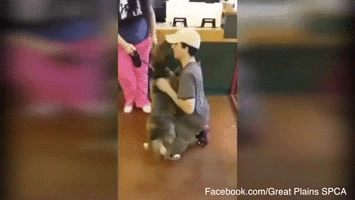 暖心150730:相隔一年后狗狗仍记得主人 谢谢你一直都在