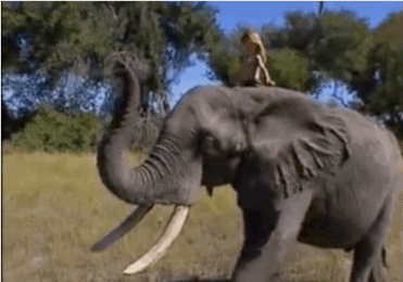 暖心150821:一个野生的小女孩 一个自然的小天使|含动