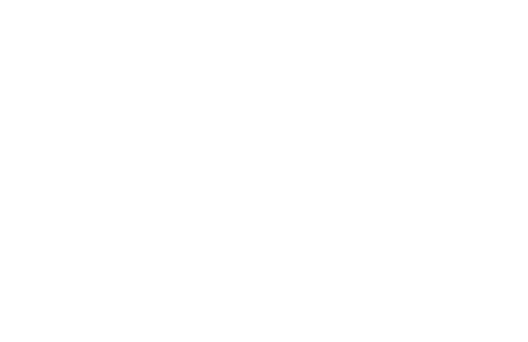 麦玲玲介绍