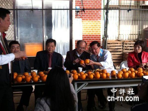 范玉燕、邱镜淳、郑立中与范振宗(右起)听取业者简报宝山乡柑橘园栽培情形。