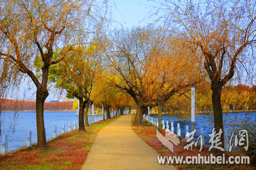 [喜迎十八大 争创新业绩]东湖风景区:从武汉走向