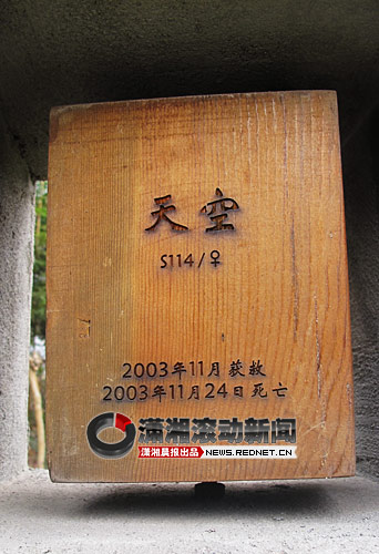 (救护中心有一片纪念园，里面立了十块水泥墙。每一块水泥墙都有很多中空的空格，空格内放置着方木块，每一块木头记录着一头死去熊的名字，获救、死亡信息。 图/潇湘晨报滚动新闻记者 倪志刚)