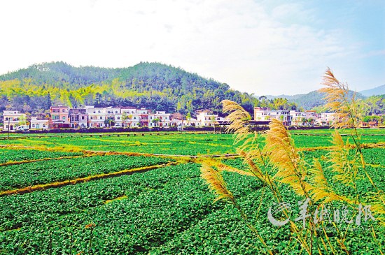 启动花都湖公园建设,用两年时间完成