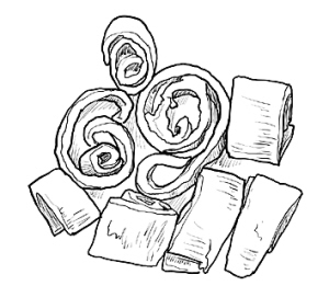 厚朴