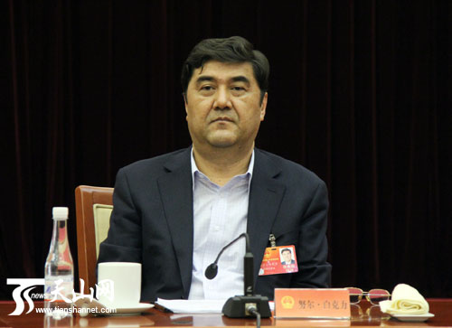 努尔·白克力代表参加审议。