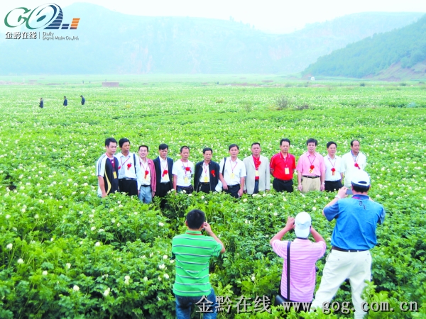 毕节地区_毕节地区农民纯收入(3)
