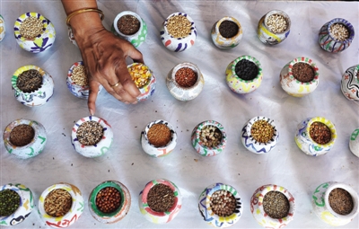 多彩谷物亮相印度粮食节