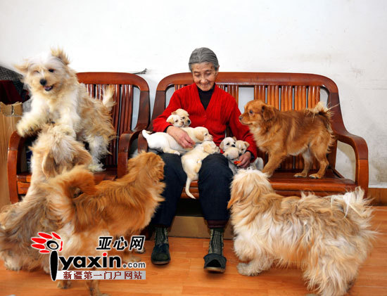 是不是爱狗人士养狗就得任由狗在公共场合撒