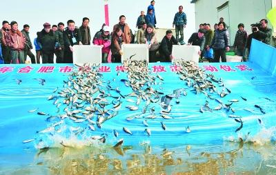 庐江县多少人口_庐江县王民生和情妇(2)