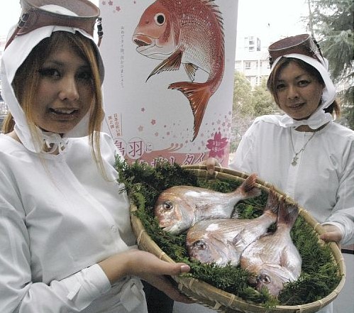 日本鸟羽市母女花海女现身宣传当季鲷鱼
