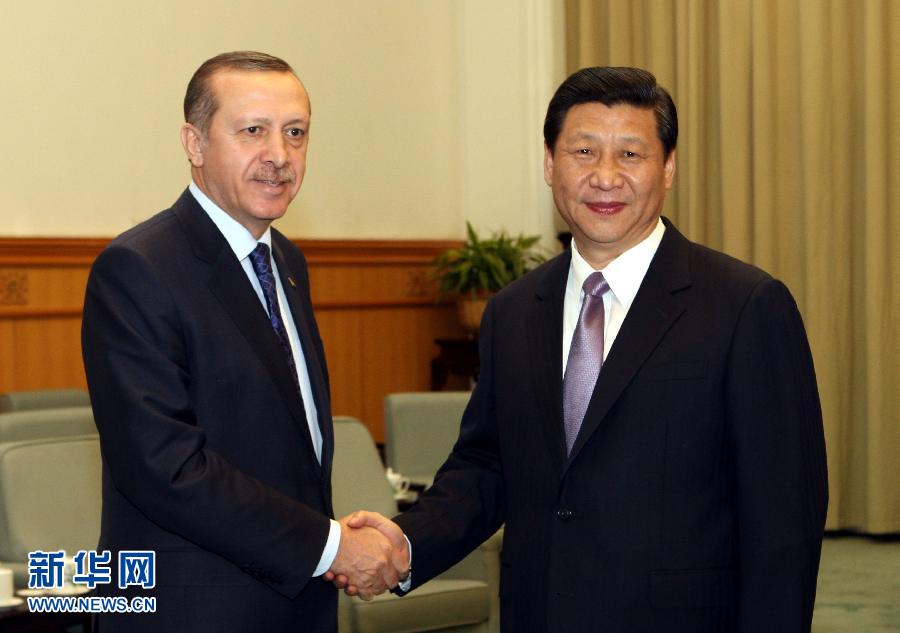 习近平会见土耳其总理埃尔多安