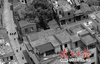 村组用地如何化解禅城“缺地隐忧”？