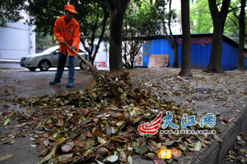 满地的落叶忙坏了环卫工人。