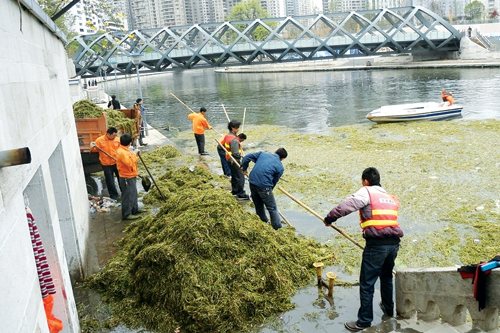 南明河开坝放水 大片水草漂浮已清理