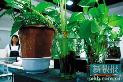 边赶文案边赶蚊子,伤不起!