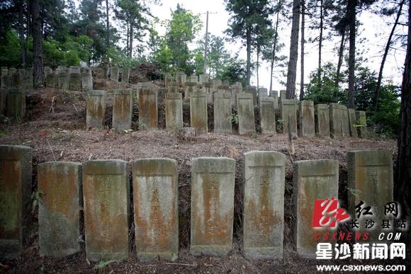 长沙县发现无祭扫痕迹烈士墓群图
