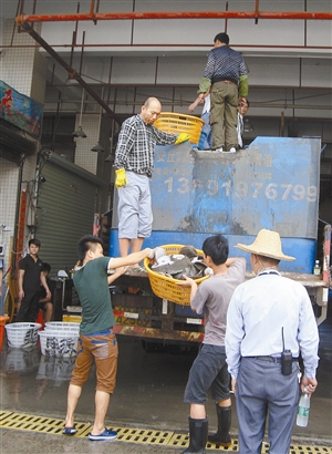 深圳东门海鲜市场_深圳东门服装批发市场_三亚海鲜市场(2)