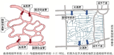 待疏解的城市毛细血管