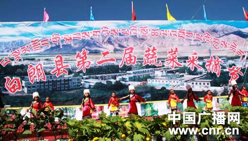 西藏日喀则地区白朗县举办第二届蔬菜采摘节
