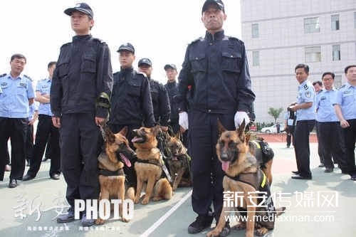 淮北派出所警犬正式上岗 市民称很有震慑力