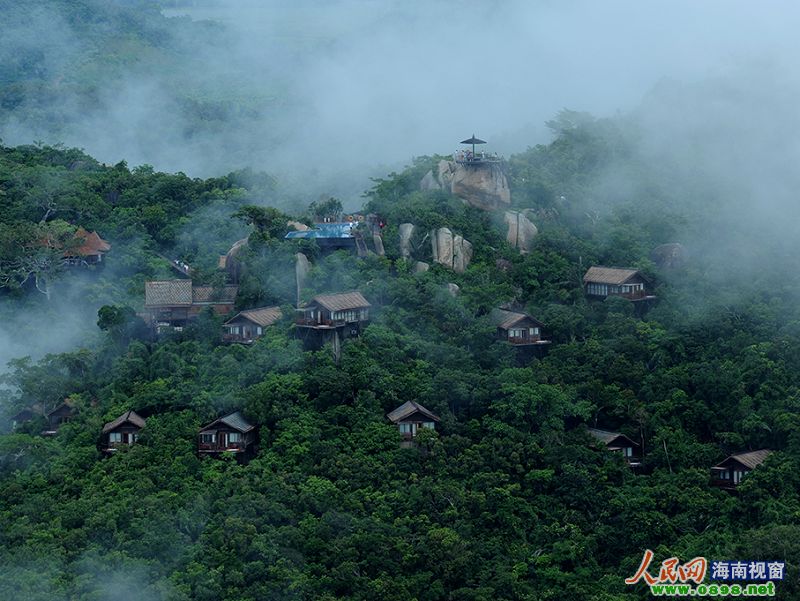 美丽梧桐五月花摄影大赛揭晓 46作品获奖