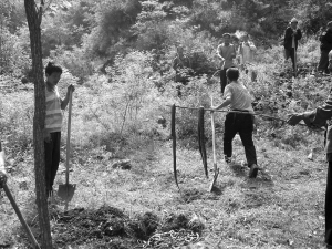 安徽一小镇10天抓到6条大蟒蛇 村民称看见有人