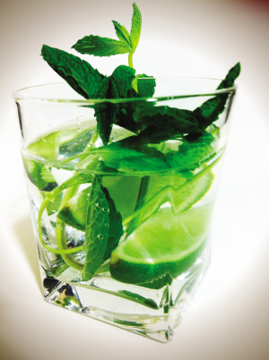 莫吉托(mojito)