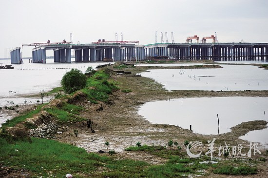 前海湾部分海域流动性差，出海口淤泥堆积