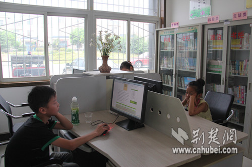 武汉市蔡甸区农家书屋成孩子们暑期乐园