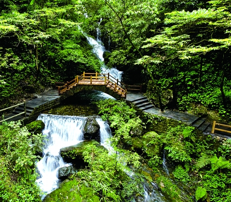 綦江黑山谷
